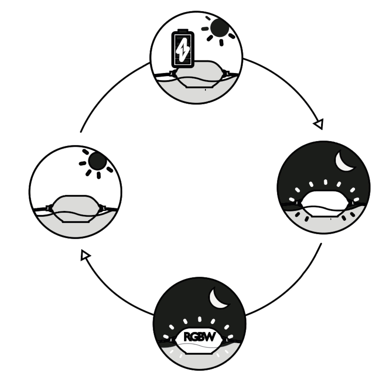 BOA-LUMINOSA-SOLARE - Image 4